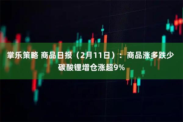 掌乐策略 商品日报（2月11日）：商品涨多跌少 碳酸锂增仓涨超9%